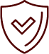 Icono escudo